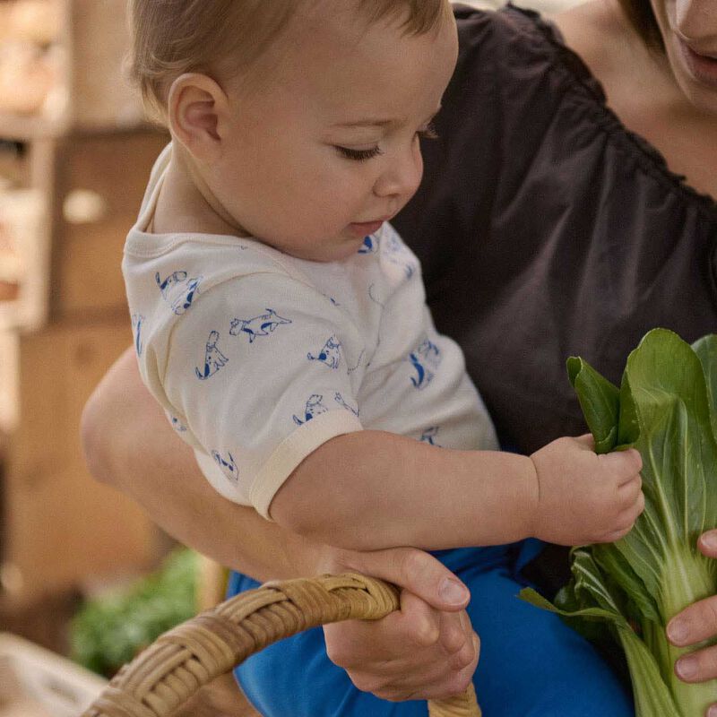 Nature Baby Short Sleeve Bodysuit image number 2